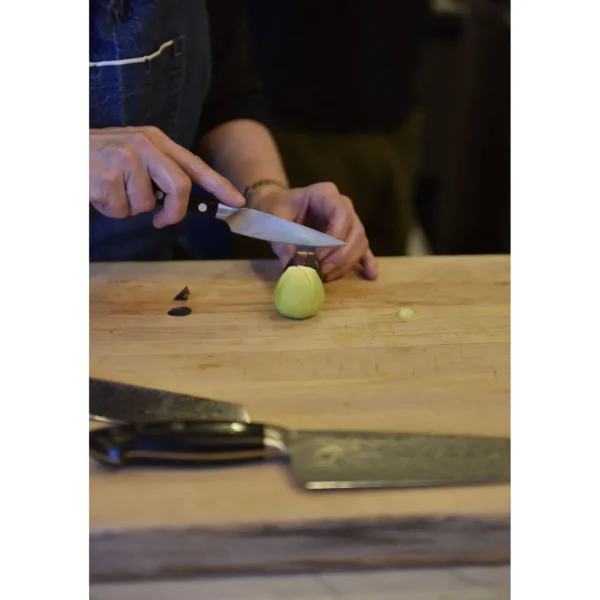 ZWILLING Paring Knives*4-Inch, Paring Knife