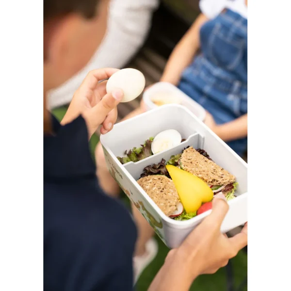 ZWILLING Vaccum Lunch Boxes*Large Dinos Vacuum Lunch Box, Plastic, White-Grey