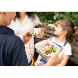 ZWILLING Vaccum Lunch Boxes*Medium Dinos Vacuum Lunch Box, Plastic, White-Grey