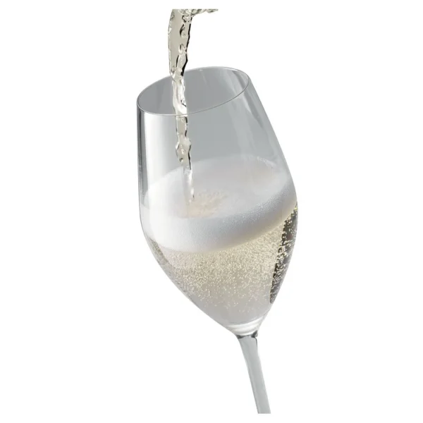 ZWILLING Glassware*9.5-Oz / 6-Pc  Champagne Set Transparent