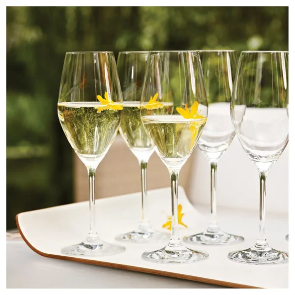 ZWILLING Glassware*9.5-Oz / 6-Pc  Champagne Set Transparent
