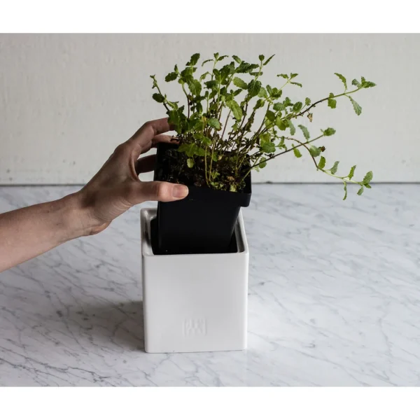 ZWILLING Kitchen Canisters*0.9 Qt, Ceramic, Medium Box With Herb Pot And Lid White